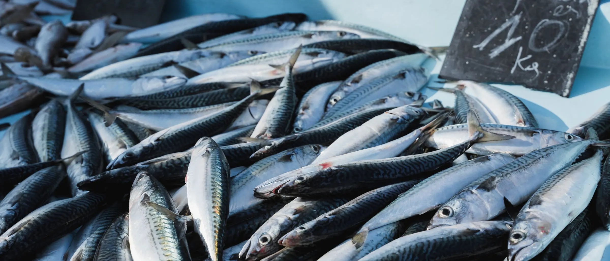 Whole silver fish packed edge to edge across the counter, a chalked price board behind them.