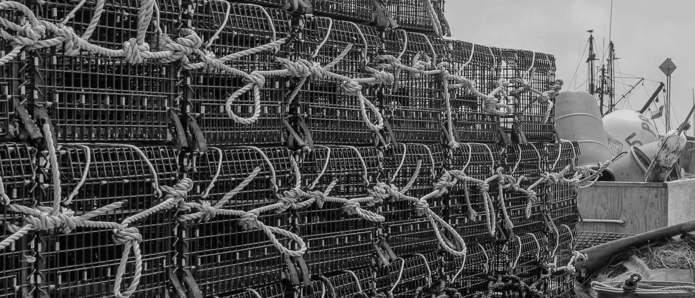 Lobster traps stacked in rows on the dock, rope coiled through the frames.