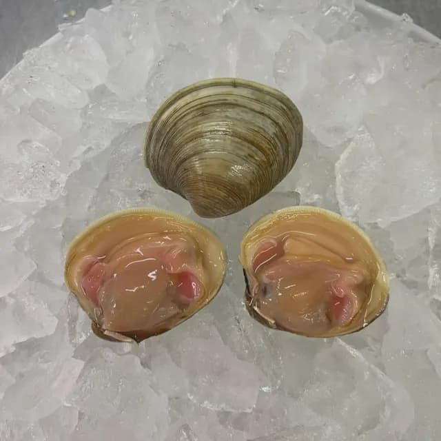 Three cherrystone clams on crushed ice, one closed and two opened on the half shell.