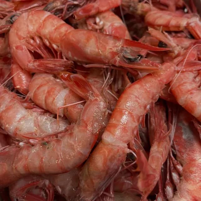 Cooked shrimp, heads on, heaped in a steel pan with their shells gone pink.