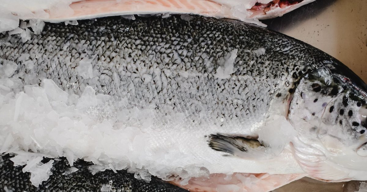 Mastic Seafood business photo